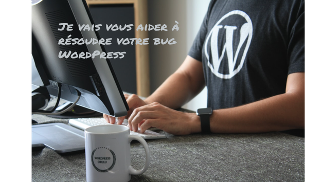 Je vais résoudre un bug  sur WordPress
