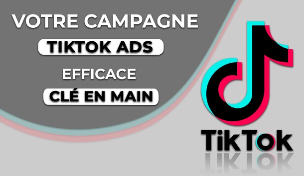 Je vais créer votre campagne publicitaire Tiktok ads  TikTok Promote