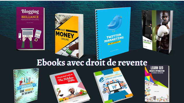 Je vais vendre 3000 ebooks en anglais et en français avec leurs licences de droit de revente et couvertures