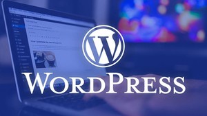 I will create your WordPress site