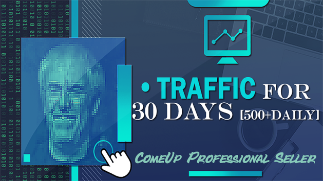 I will provide real organic traffic to your website