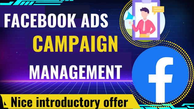 I will manage your facebook Ads campaign