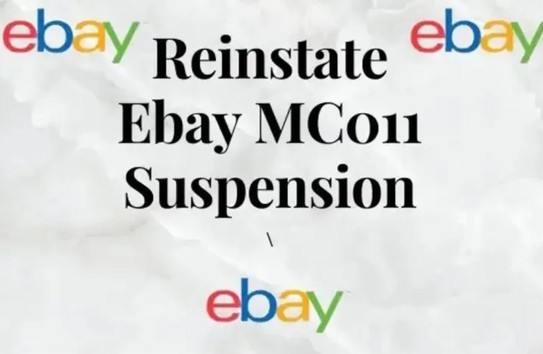 I will restore mc999 mc011 mc113 eBay suspension successfully