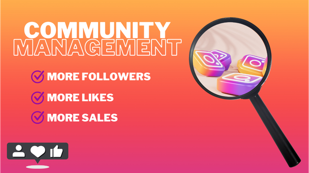 I will be your Instagram community manager
