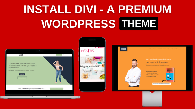 I will install Divi a premium WordPress theme