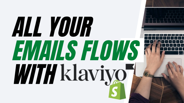 I will automate your customer journey with highly efficient email flows