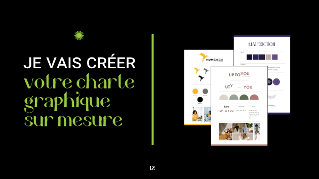 Je vais faire votre charte graphique sur mesure par Sharell_FromZero
