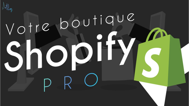 Je vais construire votre boutique Shopify par Alaee